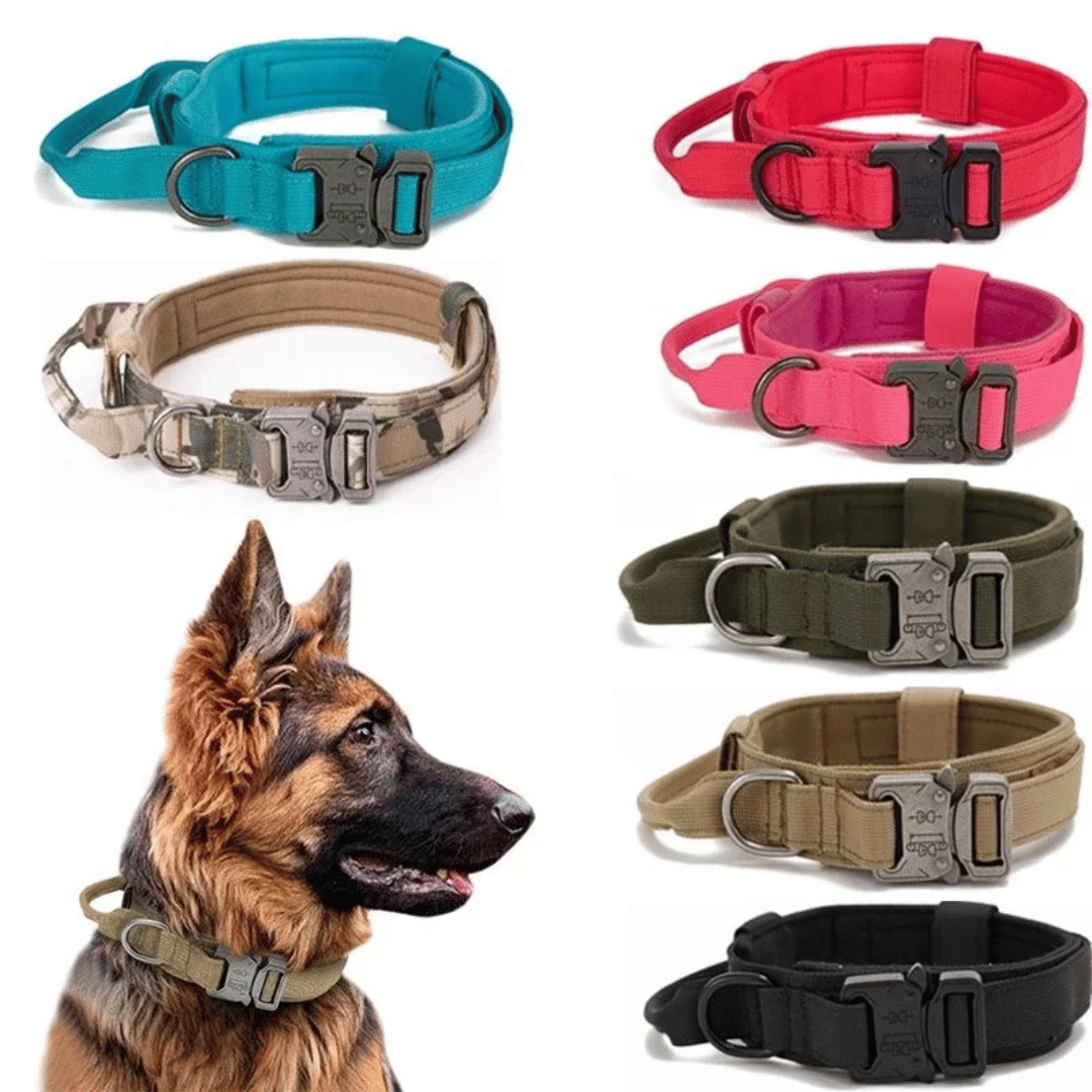 Strong Tactical Dog Collar and Leash Set for Big Dogs