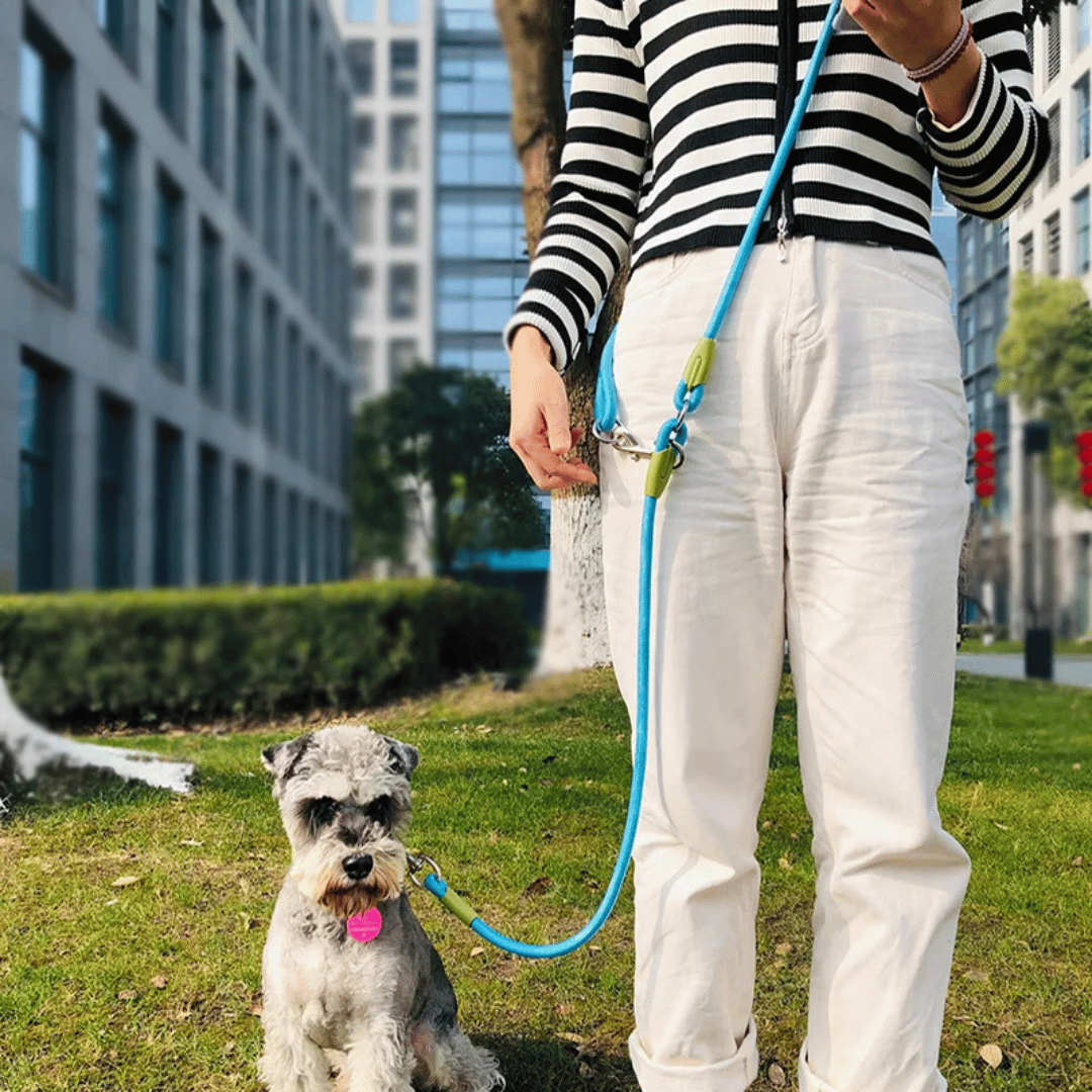 Durable Padded Leash for Running and Big Dogs