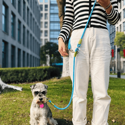 Durable Padded Leash for Running and Big Dogs