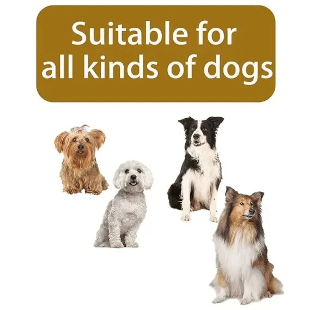 Warm Insulated Dog Winter Jacket