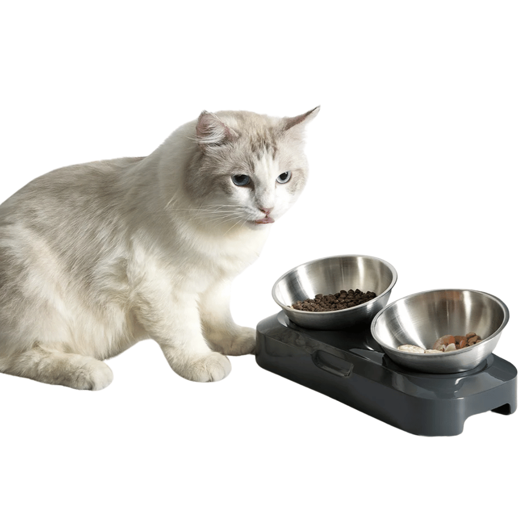 Adjustable Pet Feeder with Stainless Steel Food Bowls
