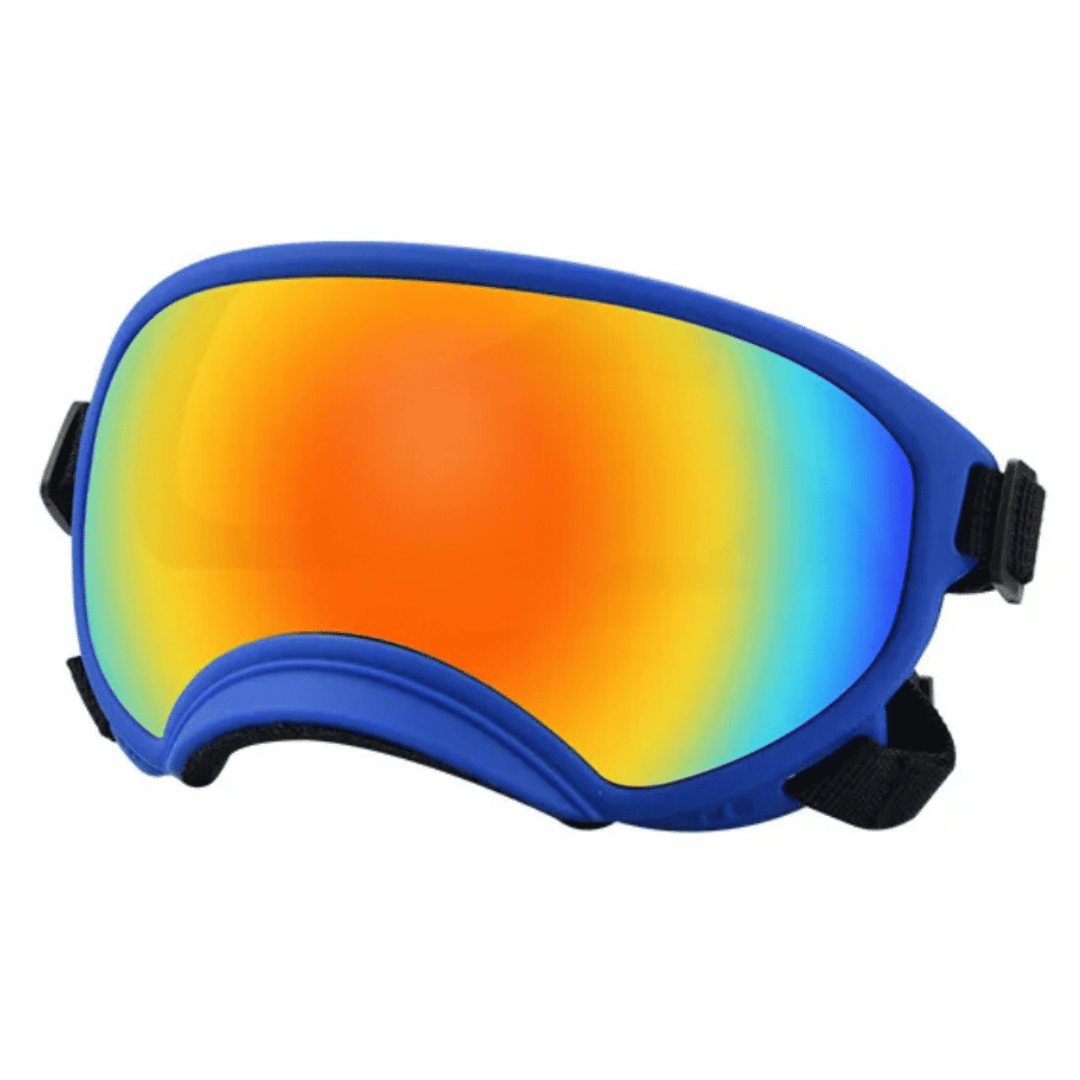 Trendy Pet Shades | Waterproof Dog Sun Glasses