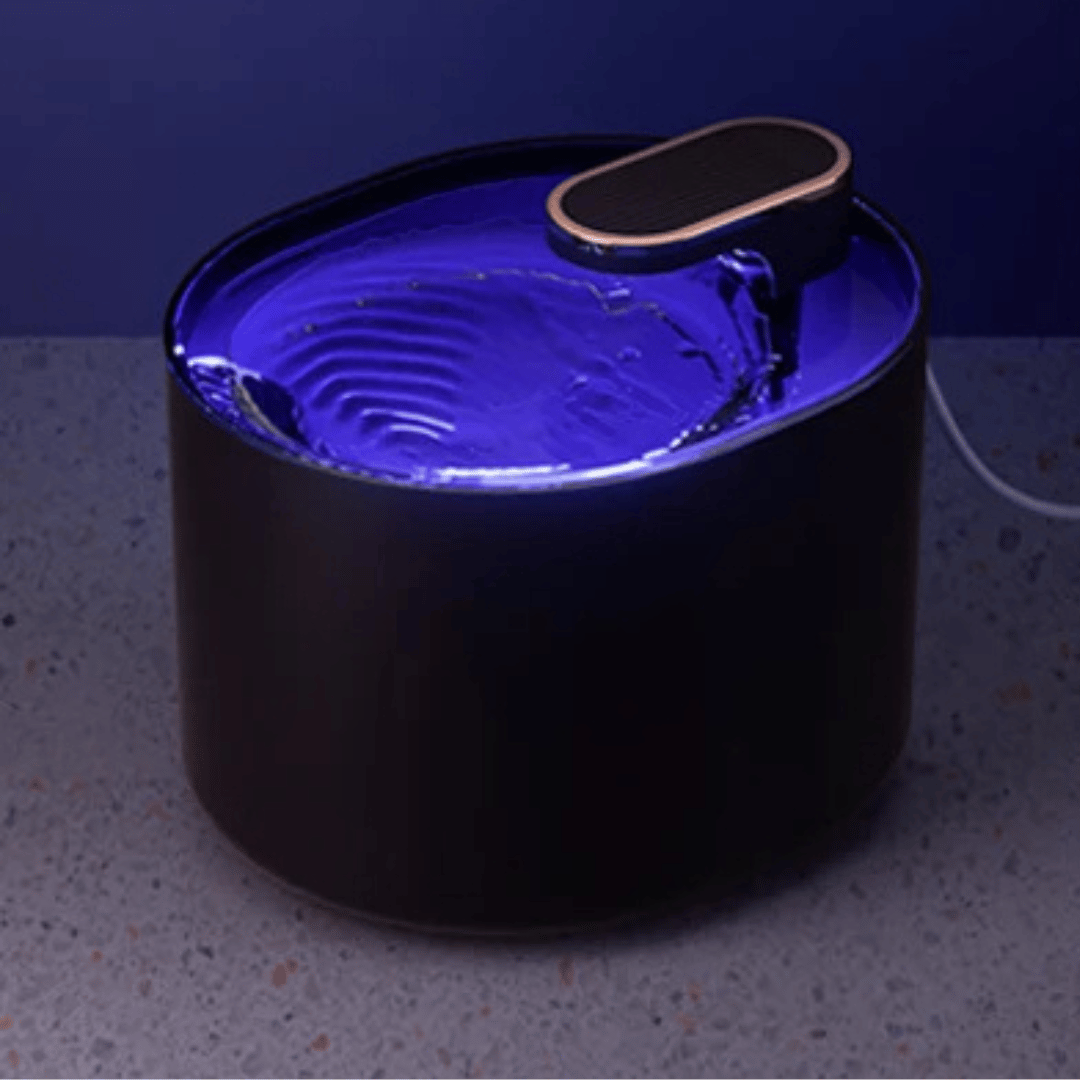 Quiet Pet Water Fountain with Motion Sensor & Night Light