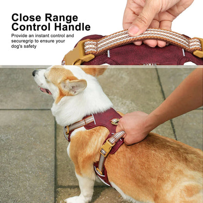 Safe & Adjustable Pet Harness with Reflective Belts