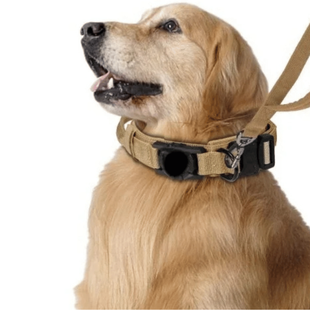 Durable Outdoor Pet AirTag Collar & Leash Set