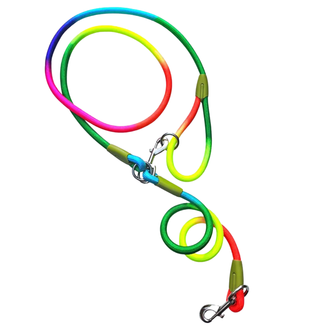 Durable Reflective Dog Leash for Big Dogs Running Walking