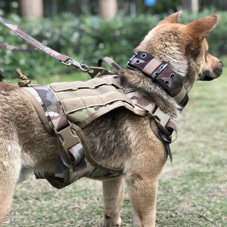 Tough Dog Training Vest with Leash and Pouch Set