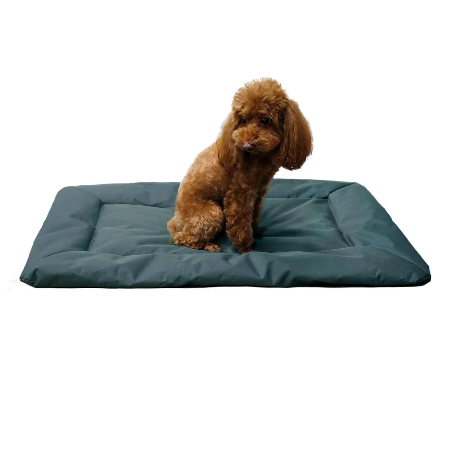 Durable Water Resistant Pet Travel Pad