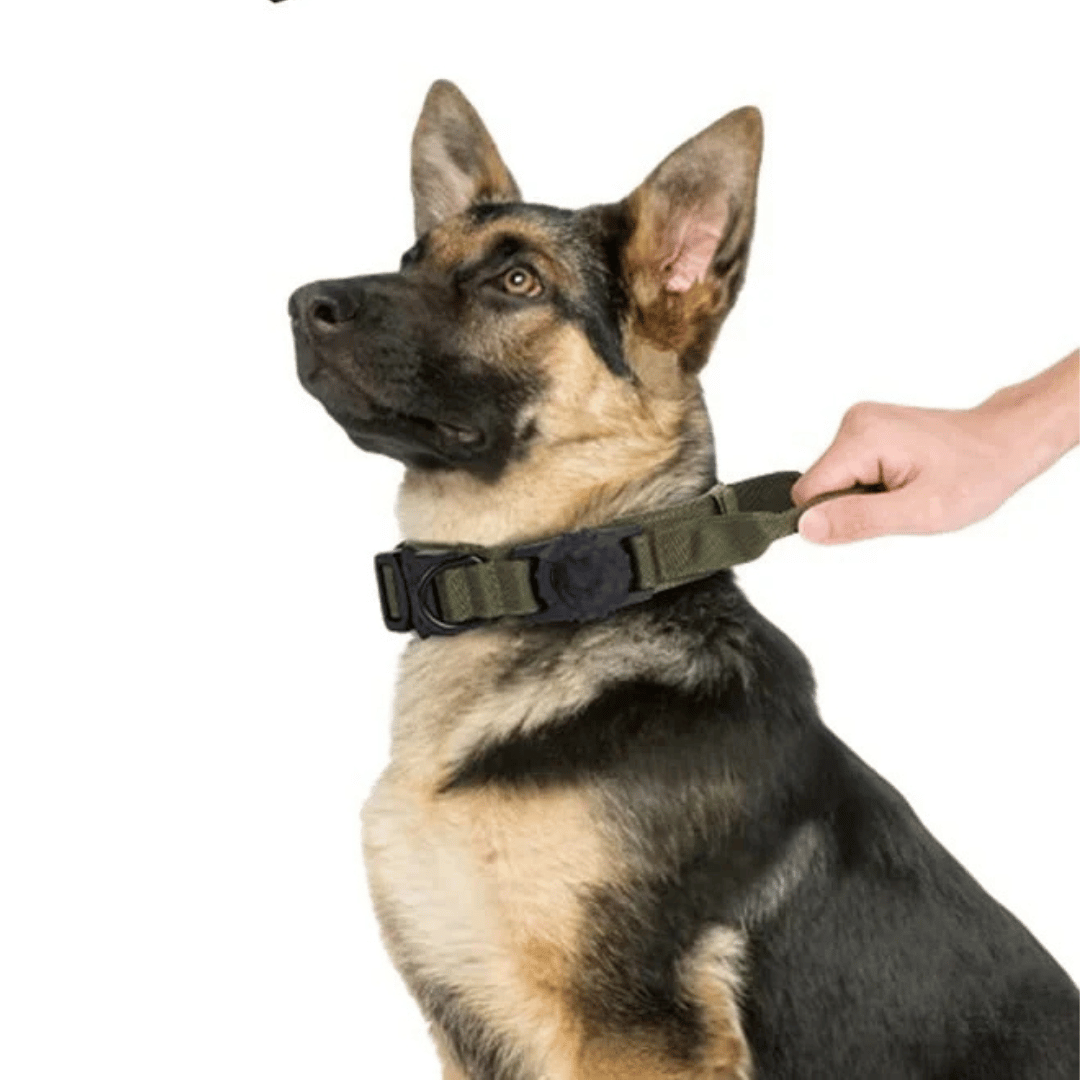 Durable Tactical Dog Collar with AirTag Holder
