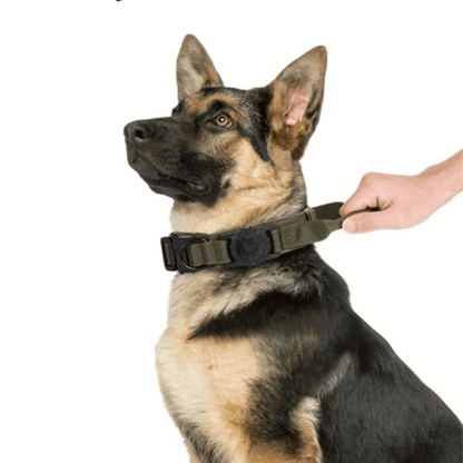 Durable Tactical Dog Collar with AirTag Holder