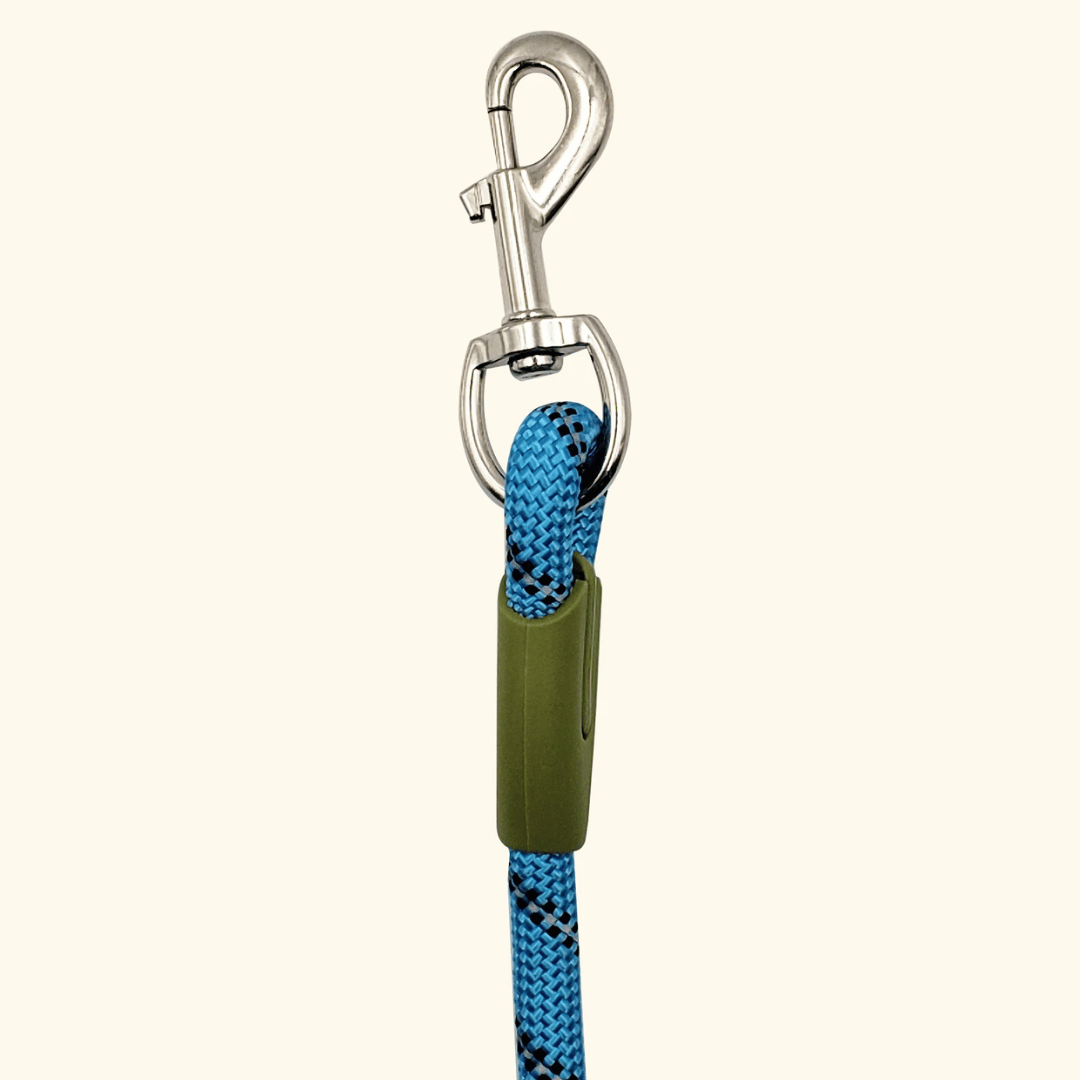 Durable Padded Leash for Running and Big Dogs
