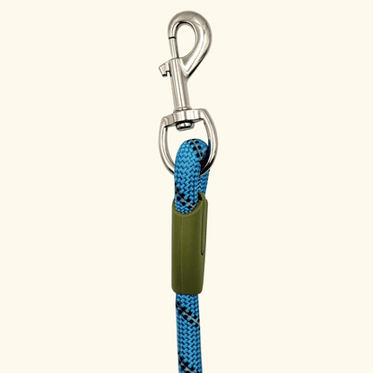 Durable Padded Leash for Running and Big Dogs