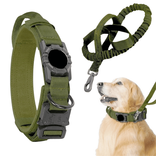 Durable Outdoor Pet AirTag Collar & Leash Set - LifyPet