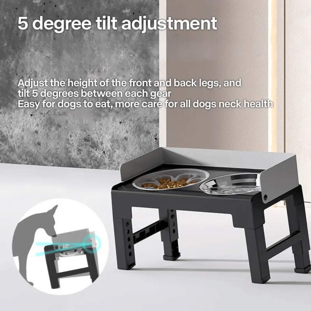 Elevated Pet Feeder with Stainless Steel Slow Feed Bowls