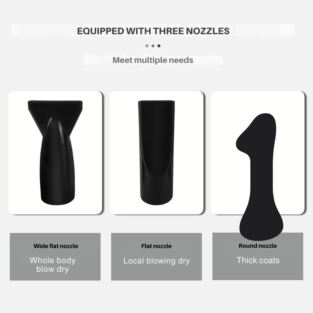 Quiet Pet Dryer with Adjustable Heat & Interchangeable Tips