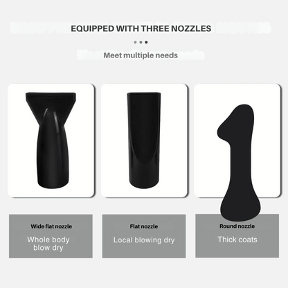Quiet Pet Dryer with Adjustable Heat & Interchangeable Tips