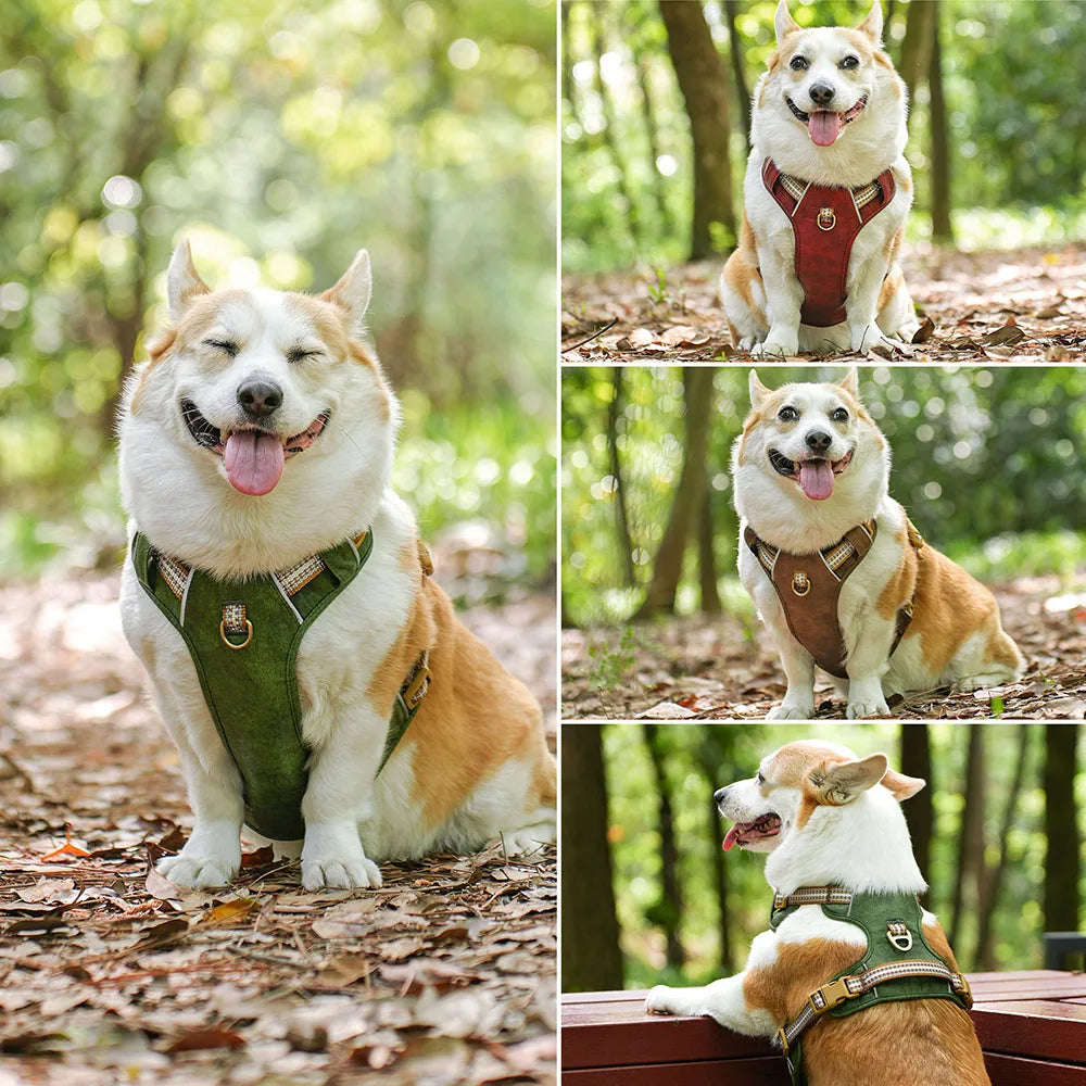 Safe & Adjustable Pet Harness with Reflective Belts