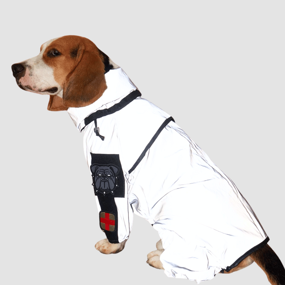 Waterproof Dog Rain Jacket with Adjustable Hood