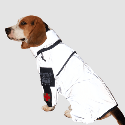 Waterproof Dog Rain Jacket with Adjustable Hood