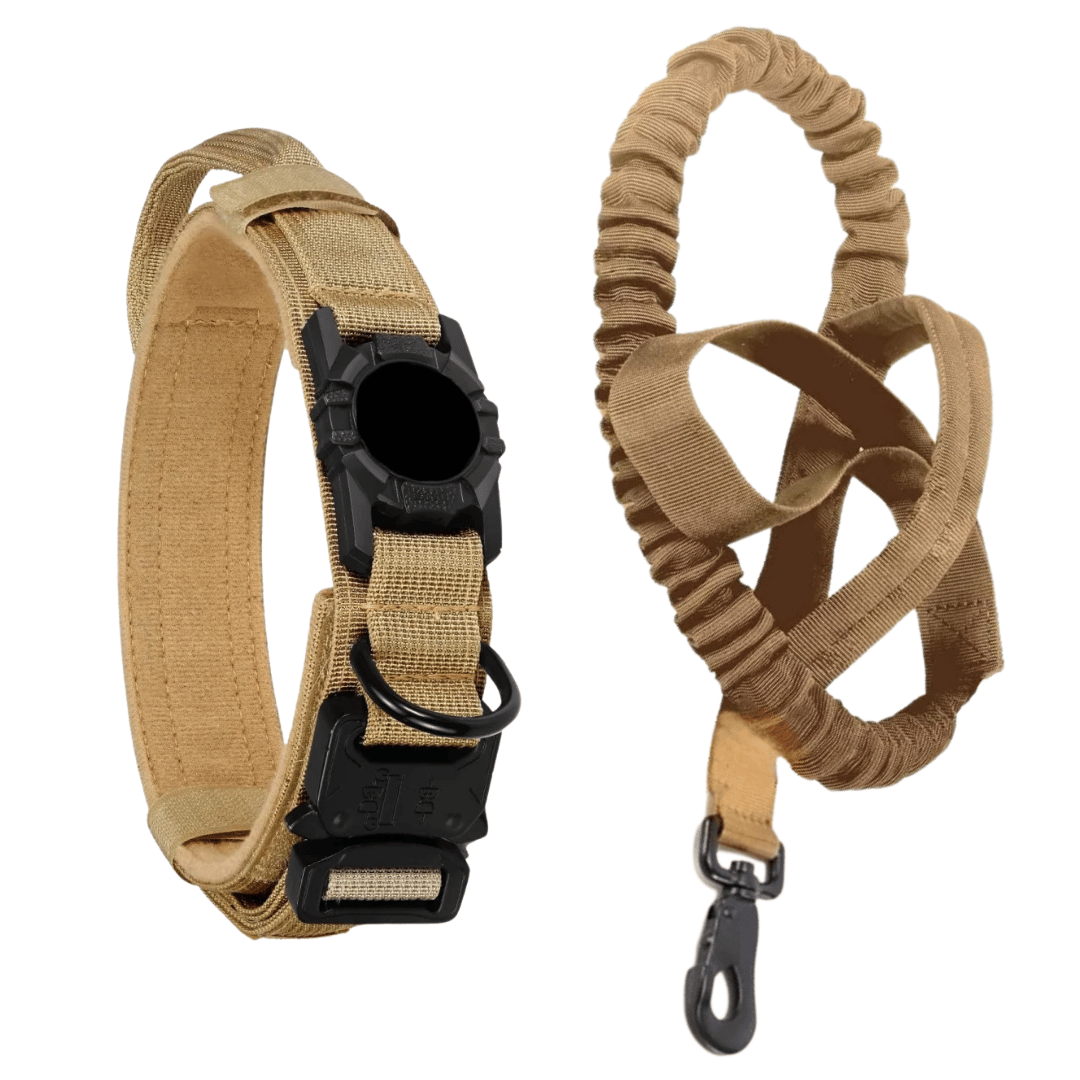 Durable Outdoor Pet AirTag Collar & Leash Set