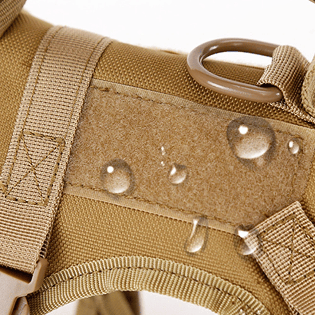 Durable Outdoor Cat Vest & Leash