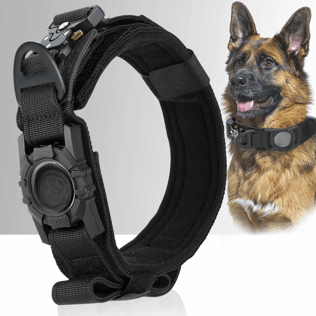 Durable Tactical Dog Collar with AirTag Holder
