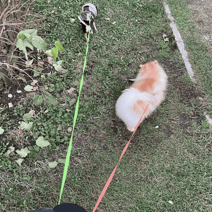 Long Adjustable Pet Leash with Light & Tangle Free Clip
