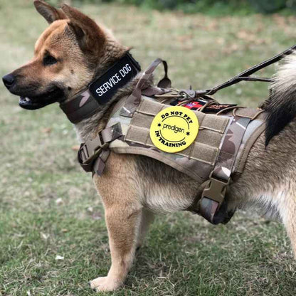 Tough Dog Training Vest with Leash and Pouch Set