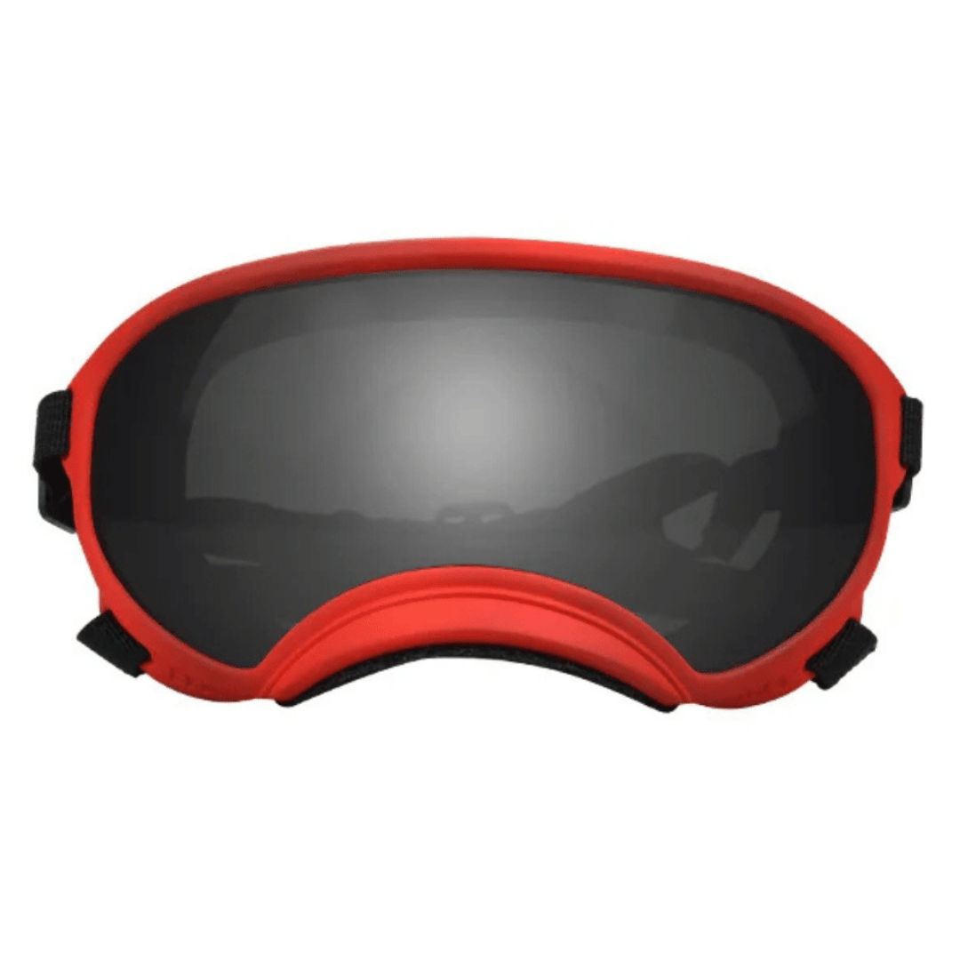 Trendy Pet Shades | Waterproof Dog Sun Glasses