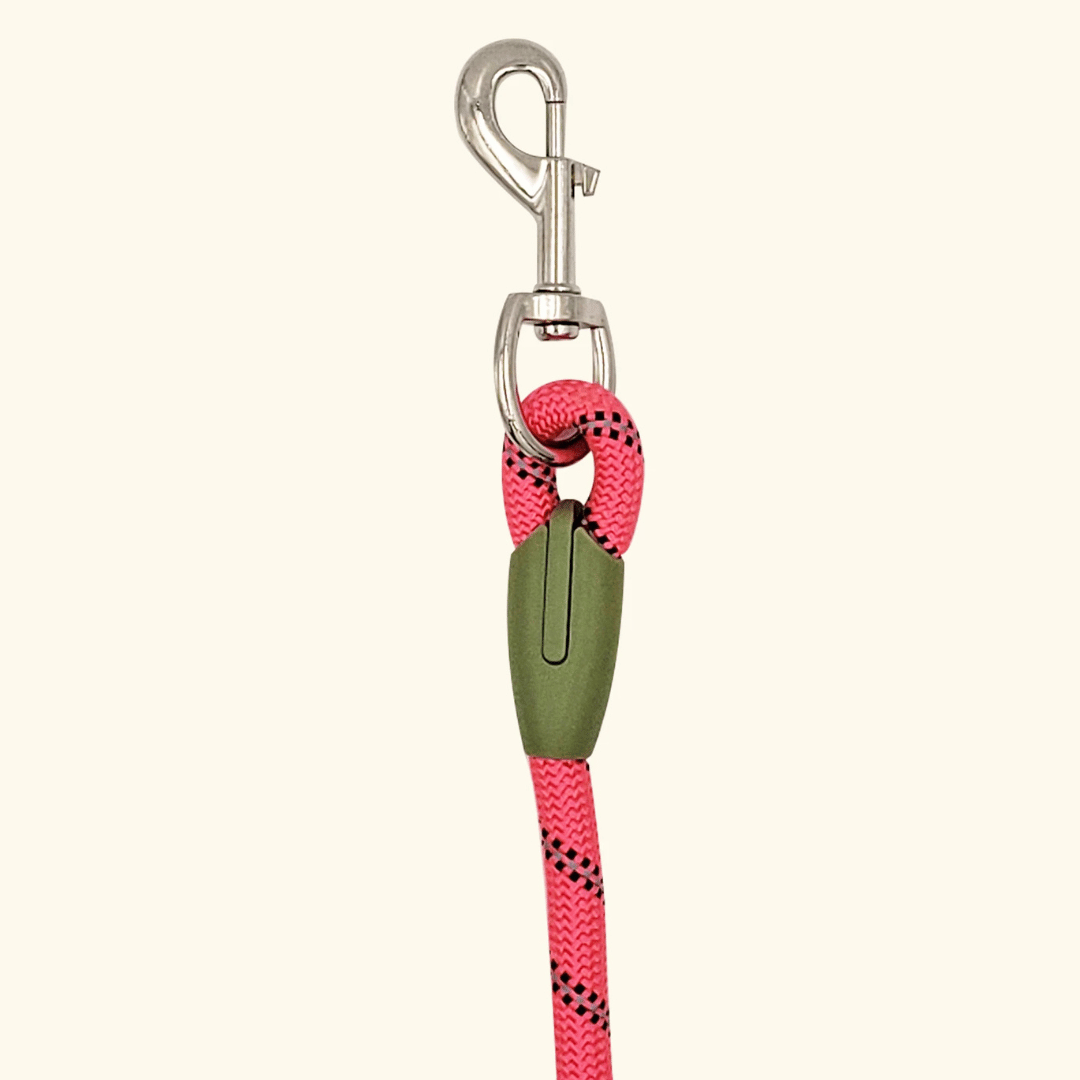 Durable Padded Leash for Running and Big Dogs