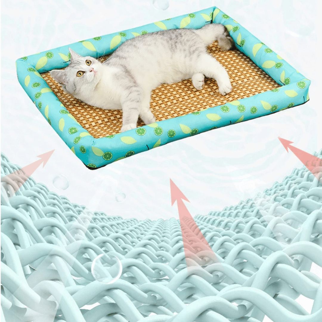 Comfy Wicker Pet Bed for Dogs and Cats
