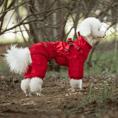 Waterproof Pet Coat with Built-In Dog Harness