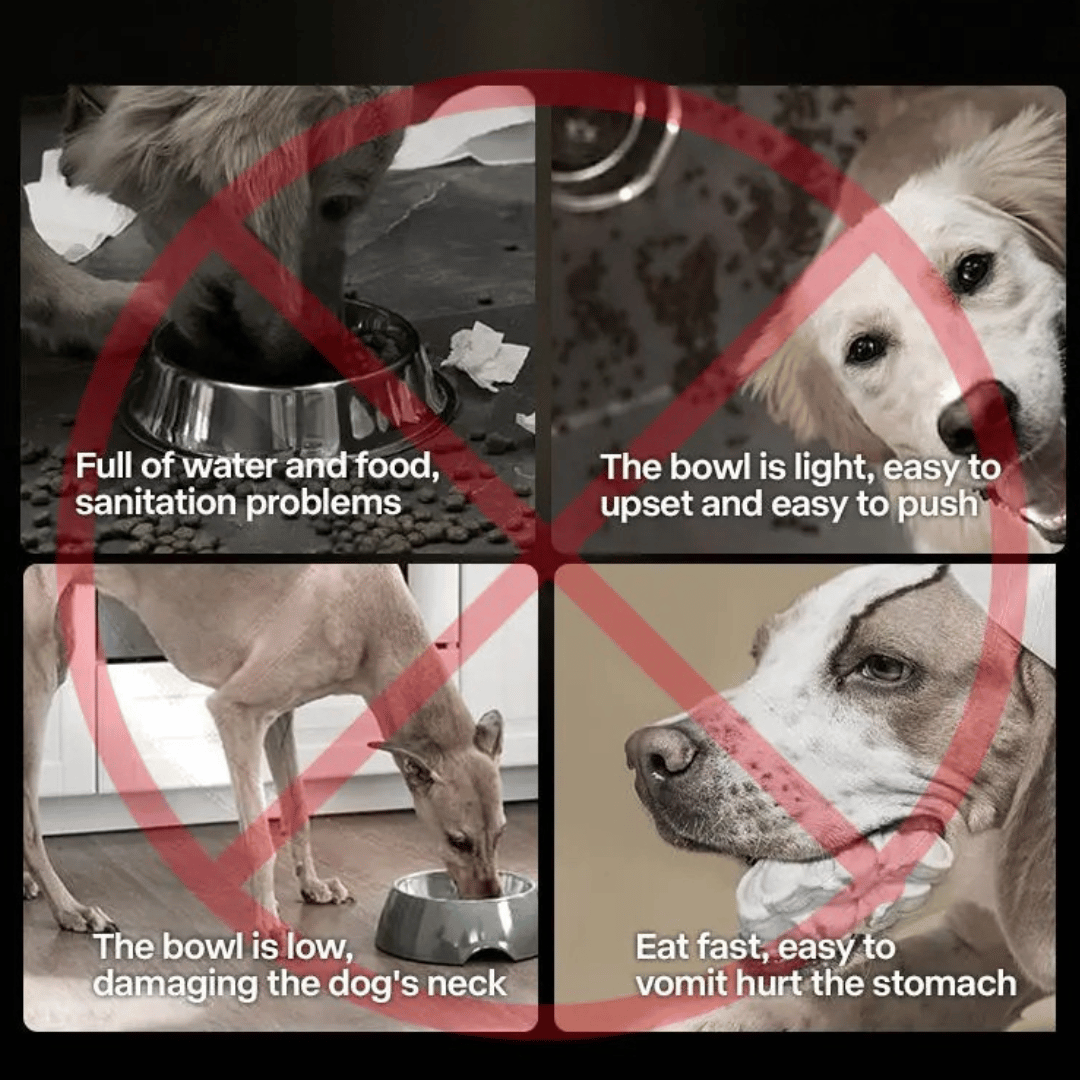 Elevated Pet Feeder with Stainless Steel Slow Feed Bowls