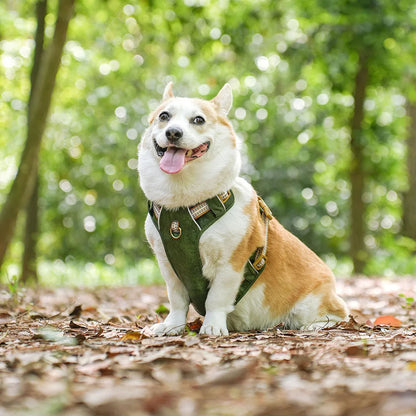 Safe & Adjustable Pet Harness with Reflective Belts
