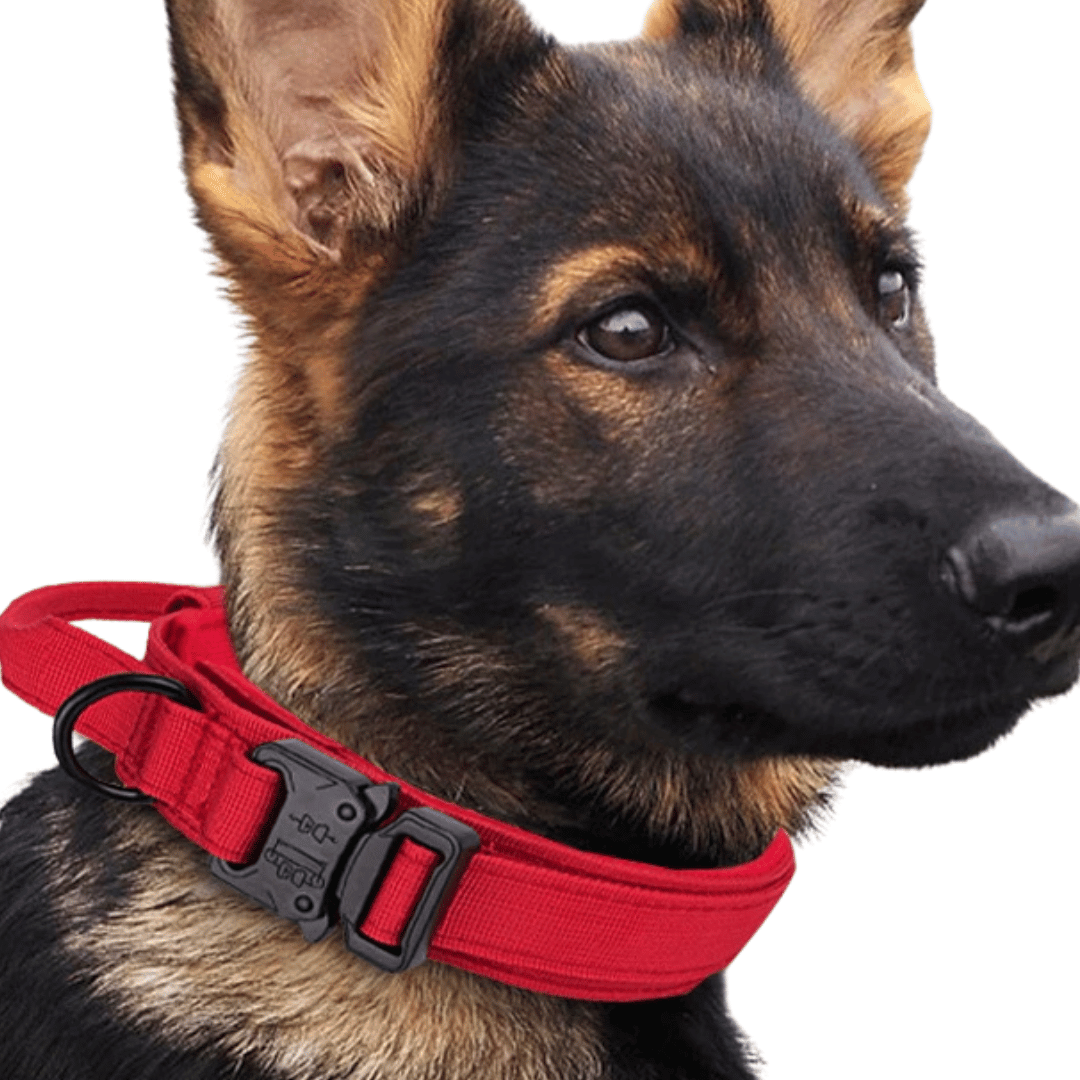 Strong Durable Tactical Dog Collar for Big Dogs