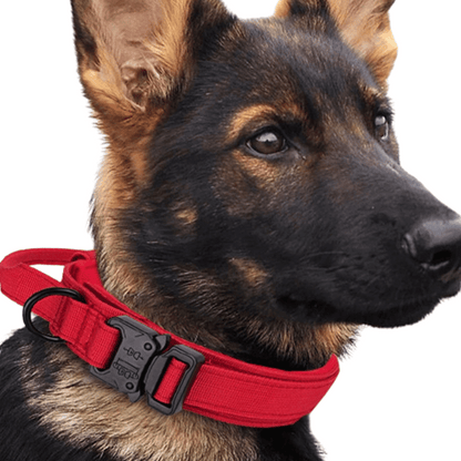 Strong Durable Tactical Dog Collar for Big Dogs