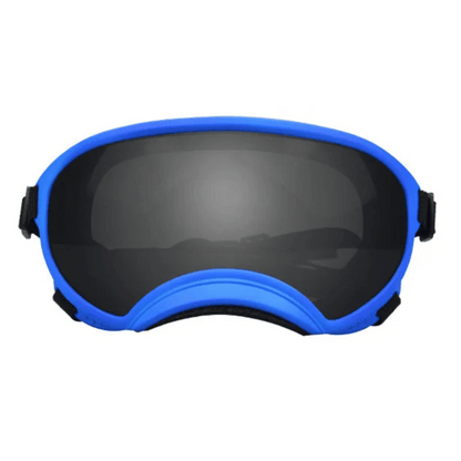 Trendy Pet Shades | Waterproof Dog Sun Glasses