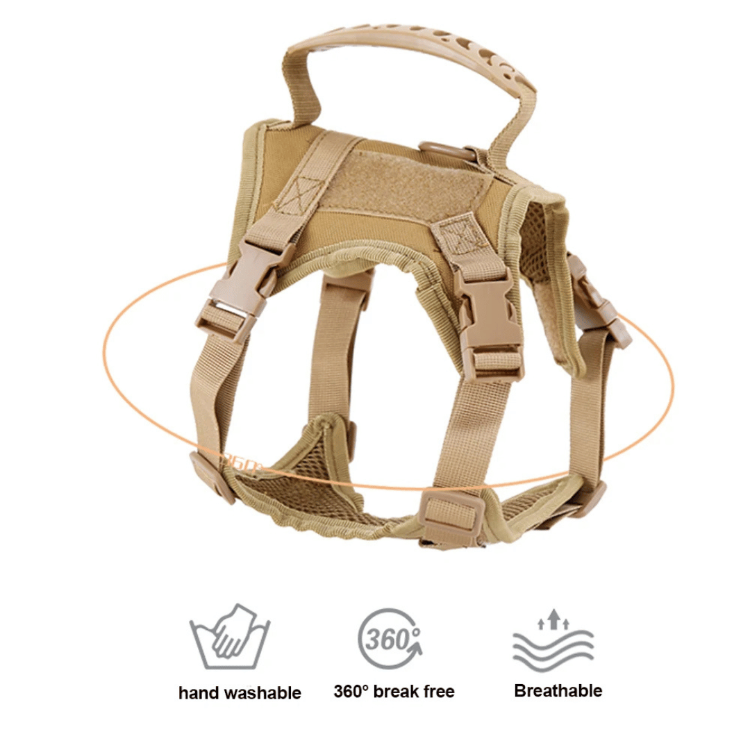 Durable Outdoor Cat Vest & Leash