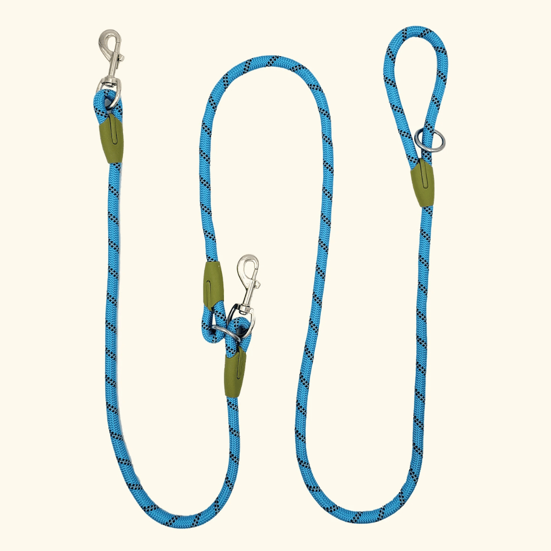 Durable Padded Leash for Running and Big Dogs