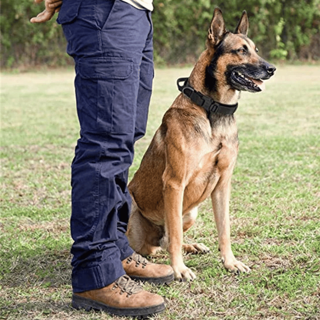 Strong Durable Tactical Dog Collar for Big Dogs