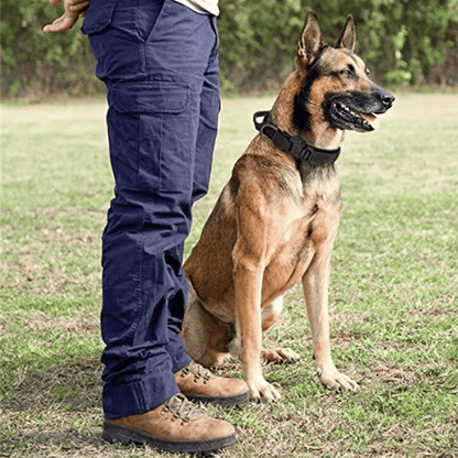 Strong Durable Tactical Dog Collar for Big Dogs