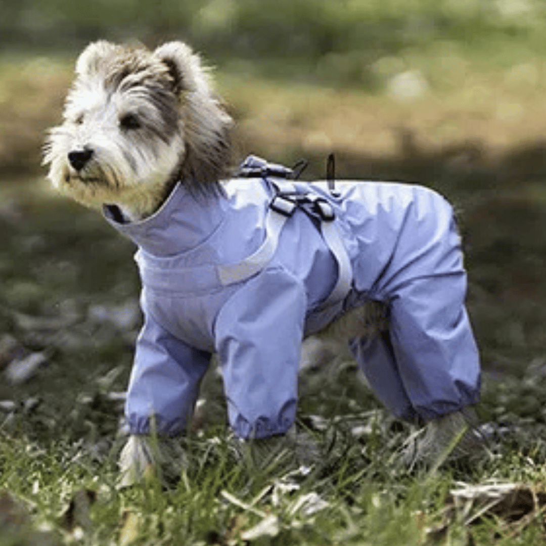 Waterproof Pet Coat with Built-In Dog Harness