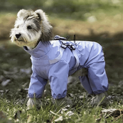 Waterproof Pet Coat with Built-In Dog Harness