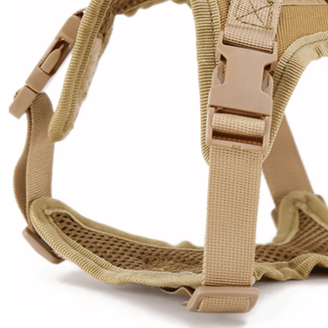 Durable Outdoor Cat Vest & Leash