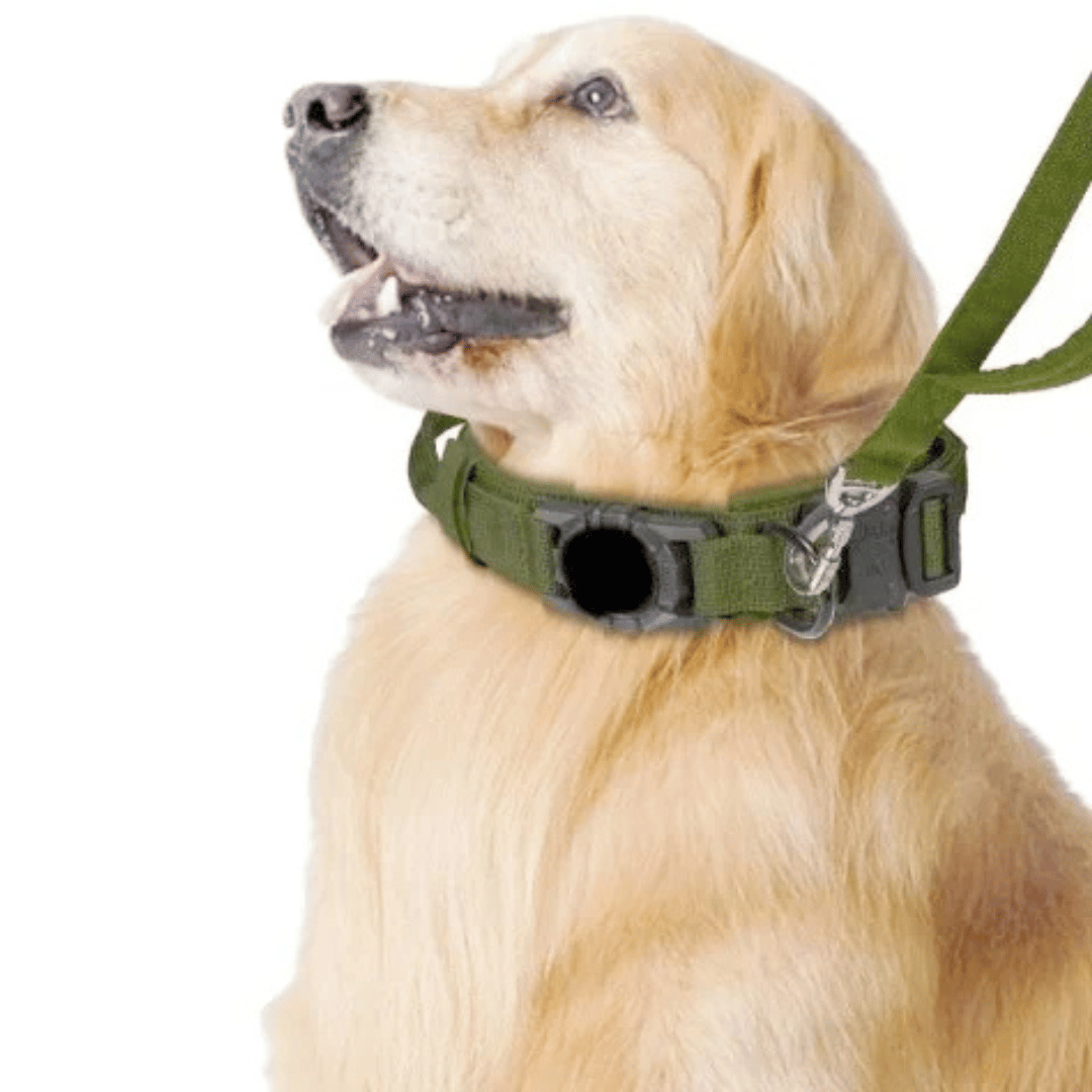 Durable Outdoor Pet AirTag Collar & Leash Set