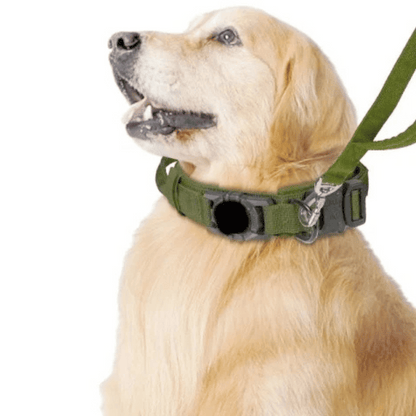 Durable Outdoor Pet AirTag Collar & Leash Set