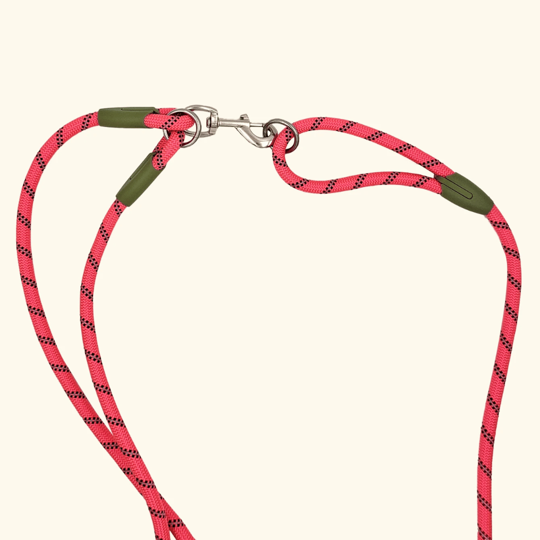 Durable Padded Leash for Running and Big Dogs