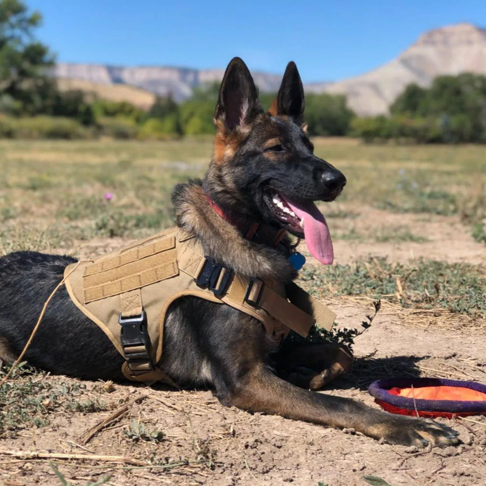 Strong Durable Dog Vest with Handle