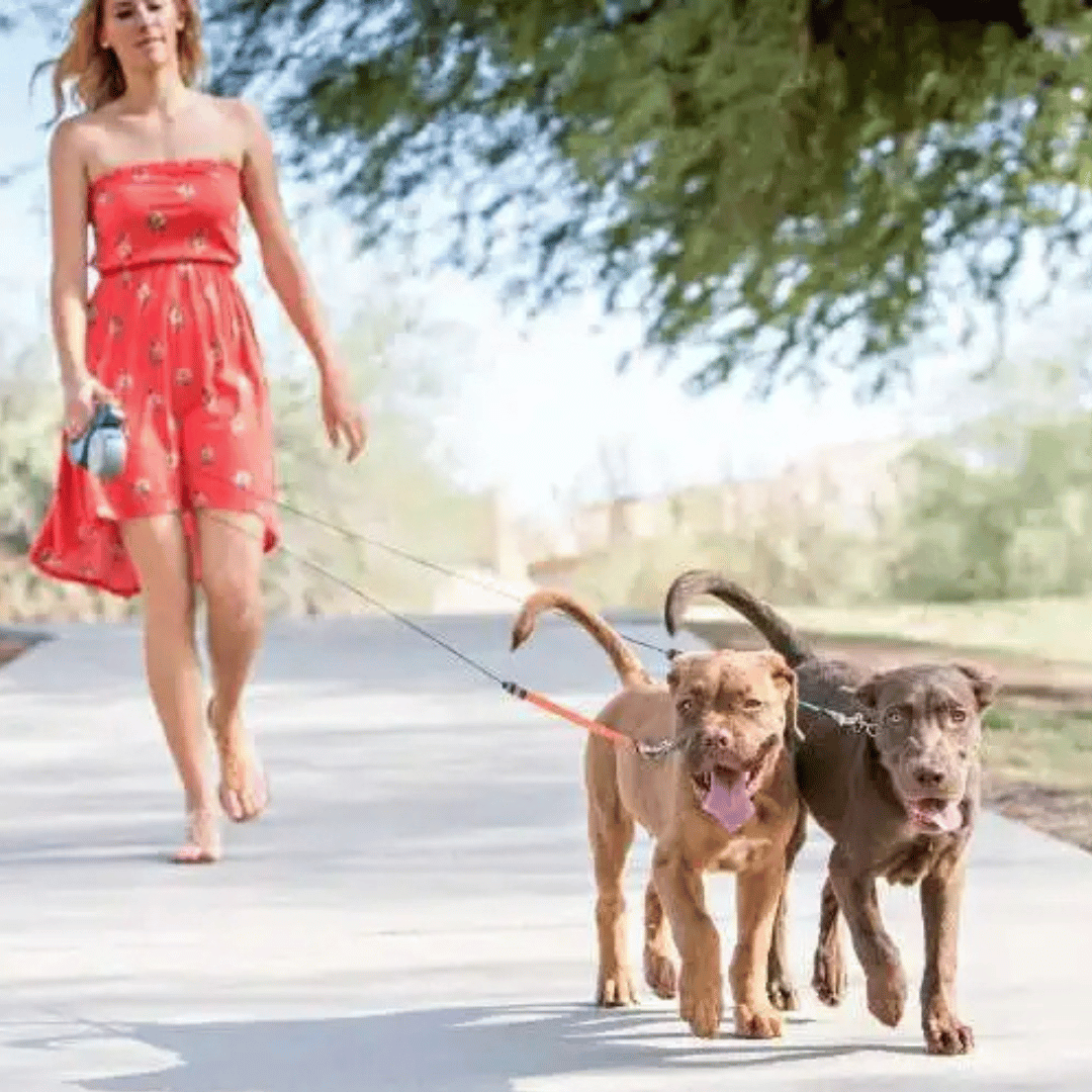 Long Adjustable Pet Leash with Light & Tangle Free Clip
