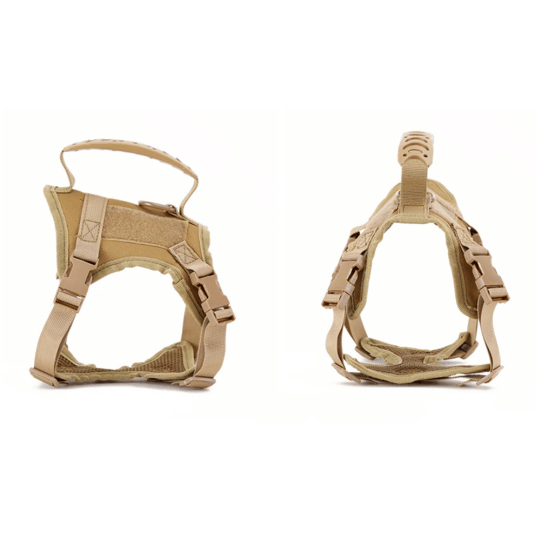 Durable Outdoor Cat Vest & Leash